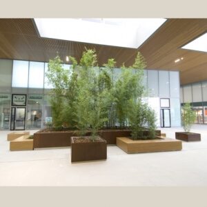 Large-sized planters