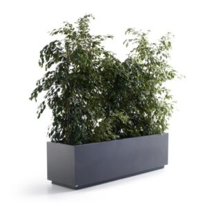 Rectangular ornamental planter